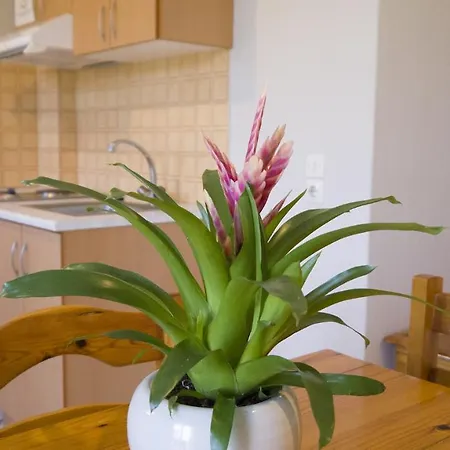 Aparthotel Fani Loutra Edipsou (Evia)